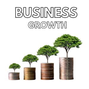 Business Growth
